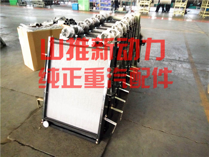 ����ɢ����